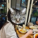 백덕장 코다리 수영본점 이미지