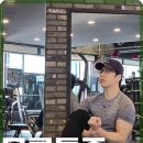 핏포유