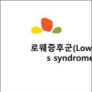 로웨(Lowe)