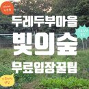 J-054 | 여행 꿀팁] 빛의 숲 ‘무료 입장’하는 진짜 방법! 두레두부마을 식사 루트 — 여행아빠J 직접 다녀온 후기