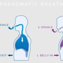 휘트니스 오름 이미지