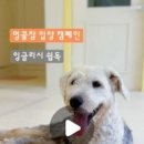 멍꿀잠 이미지