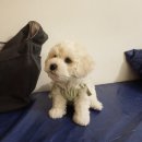 투엠컴퍼니 | 햄보칸 주말 일상