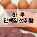 하루짐 이미지