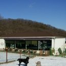 오마이독(oh my dog) 이미지