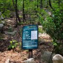 수암계곡샘 이미지