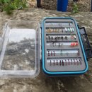 솔치송어파티 이미지