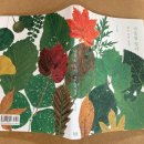 매일매일 그림 한 장 | 매일매일 한 장씩 나뭇잎 그림 <나뭇잎 일기: 열두 달의 빛깔> 허윤희