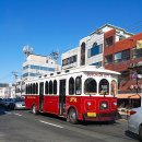 엠지엠(MGM) 이미지