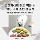 반려동물수제간식만들기 | [펫푸드] 반려동물 송편 만들기 | 추석 맞이 강아지·고양이 수제간식 레시피