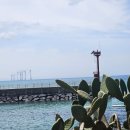 제주 올레길 14코스 | 🌿 제주 올레길 14코스 걷기 여행기