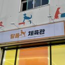 달콤체육관 이미지