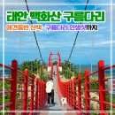 구름다리 | 태안 백화산 구름다리 후기｜애견동반 가볼만한곳