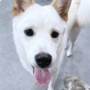 여기라면
