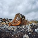 애월스마트테마파크 이미지