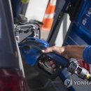 김현종농장 이미지