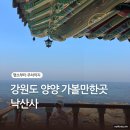 관음지 | 강원도 양양 가볼만한곳 추천 낙산사 (의상대, 홍련암, 관음지, 보타전, 수리부엉이, 의상대주차장)