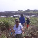태흥2리체육공원 이미지