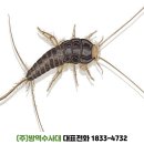 제일특수방역 네이버블로그