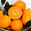 남원읍-111 이미지