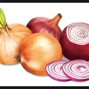 룰루 휘트니스 이미지