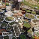 까사미아썬셋 이미지