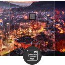 더월(The wall) 이미지