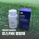 유스카이 | 하루 한 알로 집중력 케어! 수험생 영양제 유스카이 영양제 후기