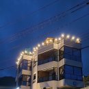 썬포레스트 이미지