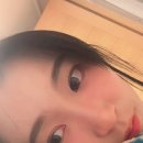 오드리 애견미용실 이미지