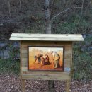 청송자연휴양림 이미지