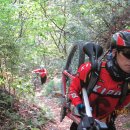 안영IC주유소 이미지