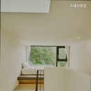 스테이비안 이미지