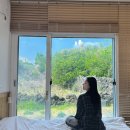 제주도동쪽 세화해변 앞 가성비 게스트하우스&lt;괜찮아 게스트하우스&gt; 트윈룸 후기/ BHC 제주한정...