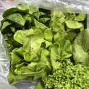 묵지농장 | 삶은 무료니까 재밋어지려면 유료결제 해야해