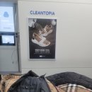 드라이119세탁전문점 | 대전 괴정동 세탁 크린토피아 릴레이세일 🎉 둔산자이아이파크·경성큰마을아파트 바로 앞 숭어리샘타운...