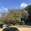 숲속해바라기유치원 이미지