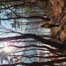 인제 터미널 앞 공원 이미지