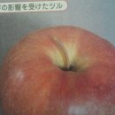 코리아히록스 이미지