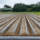 그린영농조합법인 이미지