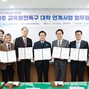 대학교육