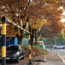 판부면보건지소 이미지