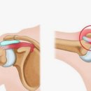 와이투짐 행신역점 이미지