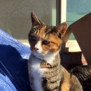 화원삼거리 이미지