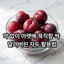 "약국 변비약 대신 마트로 가세요!" 일주일 동안 자두 직접 먹어보고 경험한 역대급 쾌변 후기