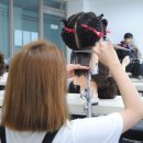 헤어디자인 - 평택시 | 헤어디자인