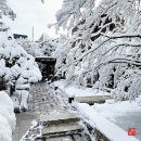 나무향기 한증막 이미지