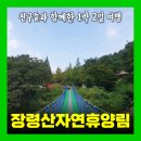 (GS25) 옥천남경점 | 옥천 가볼만한곳 장령산자연휴양림 숙소 펜션 숲속의집 다래2호 놀이터 야영장 출렁다리 물놀이는 못했ㅠ