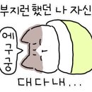 영메디팜 네이버블로그