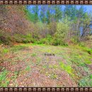 오전약수관광단지 이미지